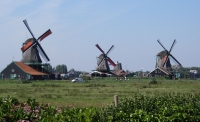 7. Windmills by Kathryn Fritz
